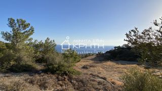 Οικόπεδο 8.465 τ.μ. για πώληση, Ν. Λασιθίου, Ιεράπετρα-thumb-1