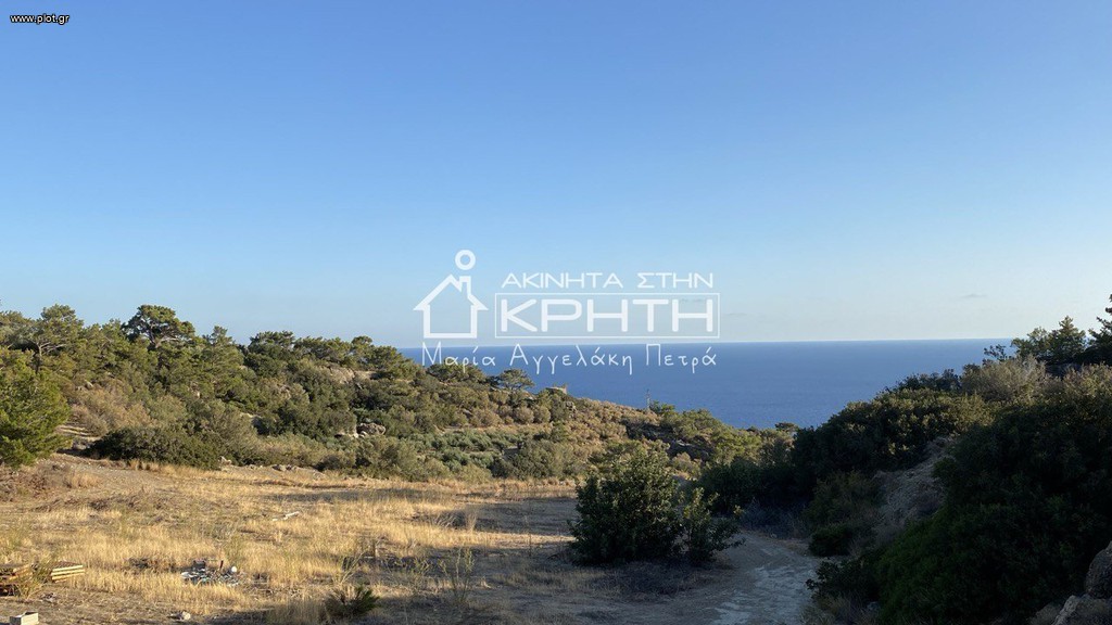 Οικόπεδο 8.465 τ.μ. προς πώληση, Φέρμα