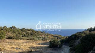 Οικόπεδο 8.465 τ.μ. για πώληση, Ν. Λασιθίου, Ιεράπετρα-thumb-3