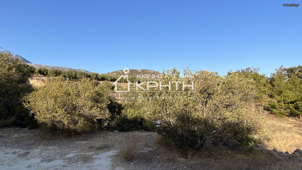 Οικόπεδο 8.465 τ.μ. προς πώληση, Φέρμα