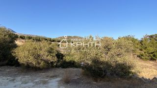 Οικόπεδο 8.465 τ.μ. για πώληση, Ν. Λασιθίου, Ιεράπετρα-thumb-4