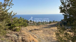 Οικόπεδο 8.465 τ.μ. για πώληση, Ν. Λασιθίου, Ιεράπετρα-thumb-5