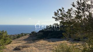 Οικόπεδο 8.465 τ.μ. για πώληση, Ν. Λασιθίου, Ιεράπετρα-thumb-6