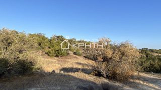 Οικόπεδο 8.465 τ.μ. για πώληση, Ν. Λασιθίου, Ιεράπετρα-thumb-7