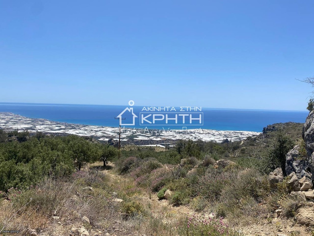 Οικόπεδο 12.000 τ.μ. προς πώληση, Ανατολή Ιεράπετρας