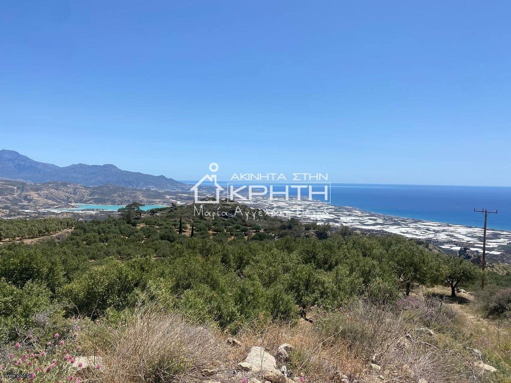 Οικόπεδο 12.000 τ.μ. προς πώληση, Ανατολή Ιεράπετρας