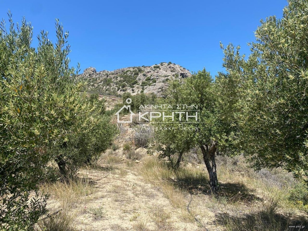 Οικόπεδο 12.000 τ.μ. προς πώληση, Ανατολή Ιεράπετρας