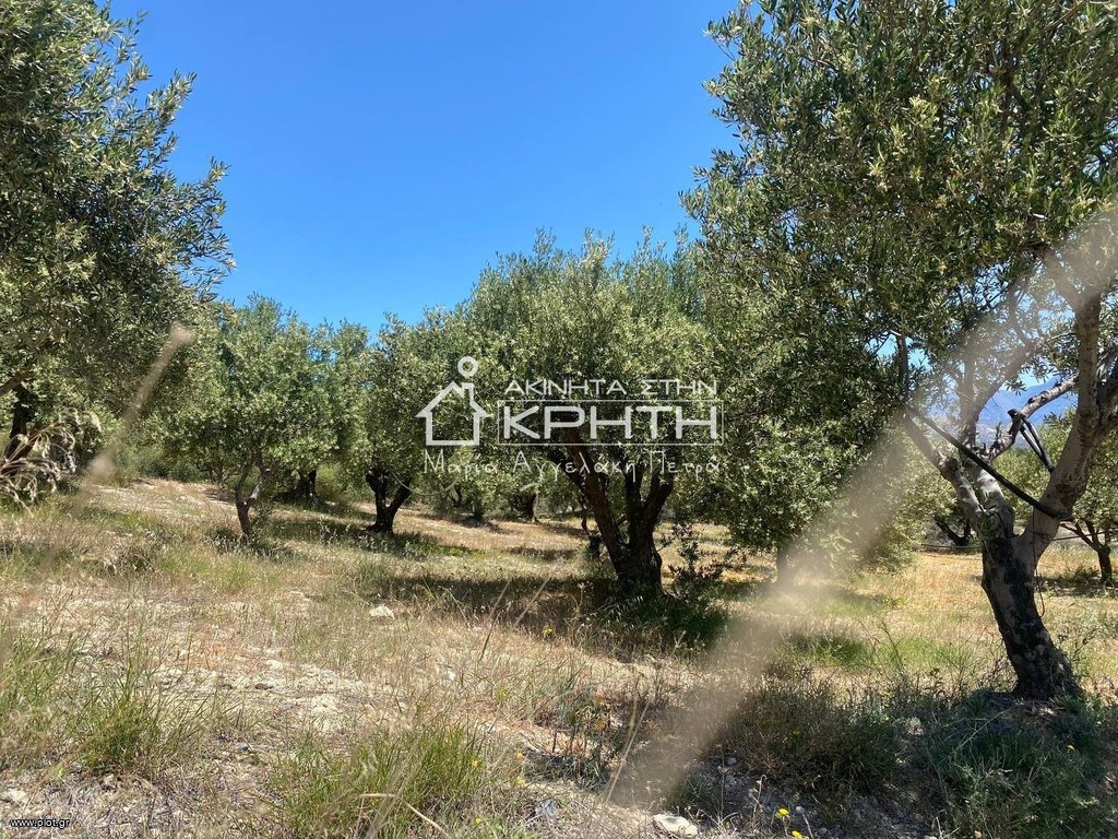 Οικόπεδο 12.000 τ.μ. προς πώληση, Ανατολή Ιεράπετρας