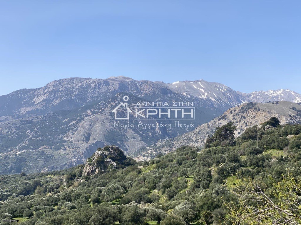 Οικόπεδο 8.000 τ.μ. προς πώληση, Μάλες