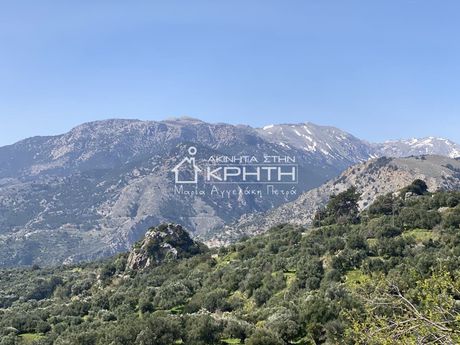 Οικόπεδο 8.000τ.μ. για πώληση-Ιεράπετρα » Μάλες