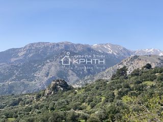 Οικόπεδο 8.000 τ.μ. για πώληση