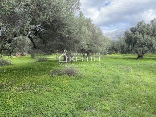 Οικόπεδο 5.672 τ.μ. για πώληση