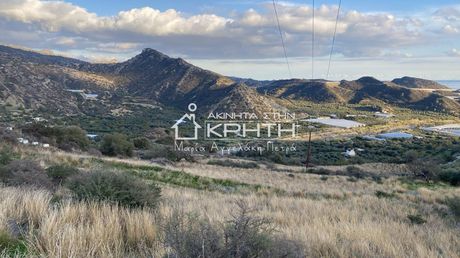 Οικόπεδο 5.200 τ.μ. για πώληση