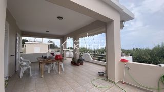 Συγκρότημα διαμερισμάτων 180 τ.μ. για πώληση, Ν. Λασιθίου, Ιεράπετρα-thumb-42