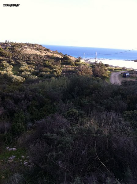 Οικόπεδο 10.000 τ.μ. προς πώληση, Καλόγεροι
