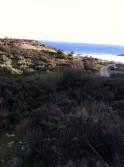 Οικόπεδο 10.000 τ.μ. για πώληση