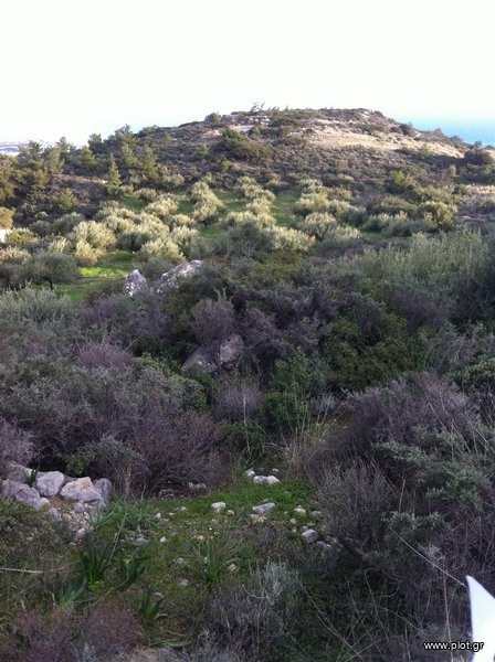 Οικόπεδο 10.000 τ.μ. προς πώληση, Καλόγεροι