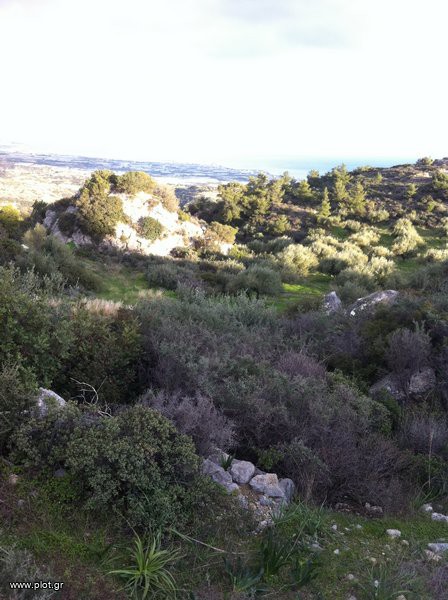 Οικόπεδο 10.000 τ.μ. προς πώληση, Καλόγεροι