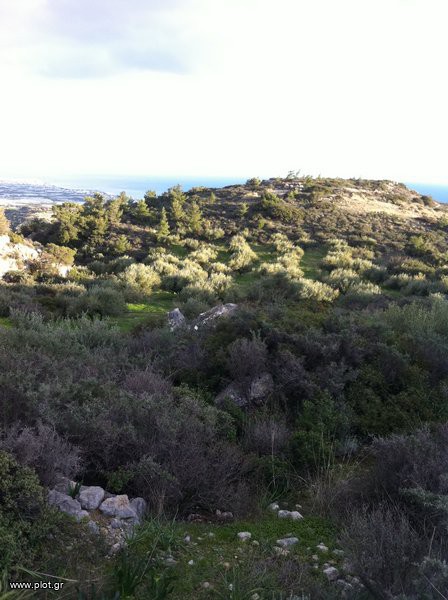 Οικόπεδο 10.000 τ.μ. προς πώληση, Καλόγεροι