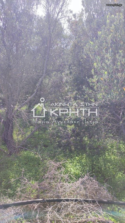 Οικόπεδο 4.228 τ.μ. για πώληση, Ν. Λασιθίου, Ιεράπετρα