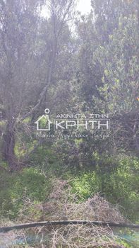 Οικόπεδο 4.228τ.μ. για πώληση-Ιεράπετρα