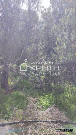 Οικόπεδο 4.228 τ.μ. για πώληση, Ν. Λασιθίου, Ιεράπετρα
