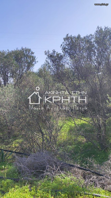 Οικόπεδο 4.228 τ.μ. προς πώληση, Ιεράπετρα