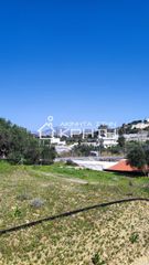 Οικόπεδο 4.228 τ.μ. για πώληση, Ν. Λασιθίου, Ιεράπετρα-thumb-2