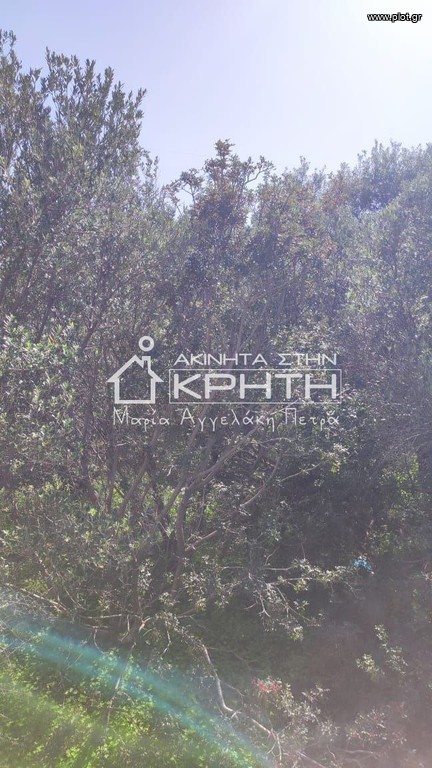 Οικόπεδο 4.228 τ.μ. προς πώληση, Ιεράπετρα