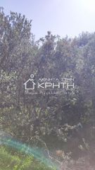 Οικόπεδο 4.228 τ.μ. για πώληση, Ν. Λασιθίου, Ιεράπετρα-thumb-3