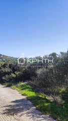 Οικόπεδο 4.228 τ.μ. για πώληση, Ν. Λασιθίου, Ιεράπετρα-thumb-4