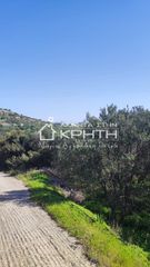 Οικόπεδο 4.228 τ.μ. για πώληση, Ν. Λασιθίου, Ιεράπετρα-thumb-5