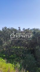 Οικόπεδο 4.228 τ.μ. για πώληση, Ν. Λασιθίου, Ιεράπετρα-thumb-6