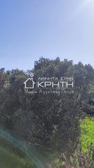 Οικόπεδο 4.228 τ.μ. για πώληση, Ν. Λασιθίου, Ιεράπετρα-thumb-7