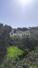 Οικόπεδο 4.228 τ.μ. για πώληση, Ν. Λασιθίου, Ιεράπετρα-thumb-8
