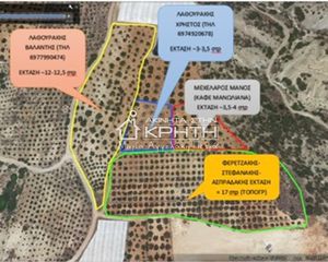 Οικόπεδο 13.000 τ.μ. για ενοικίαση, Ν. Λασιθίου, Ιεράπετρα-thumb-3