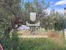 Οικόπεδο 999,33τ.μ. για πώληση-Βάρη- βάρκιζα » Μηλαδέζα