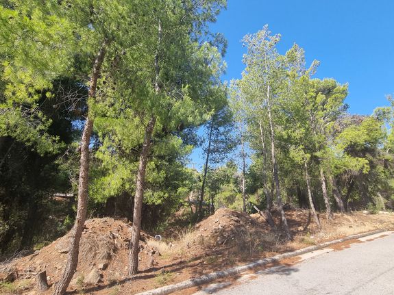 Οικόπεδο 501 τ.μ. για πώληση, Αττική - Υπόλοιπο, Πικέρμι