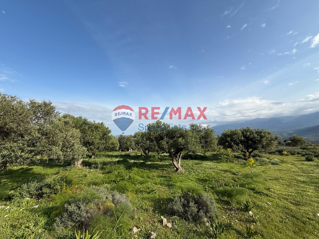 Οικόπεδο 4.612 τ.μ. προς πώληση, Μεγάλα Χωράφια