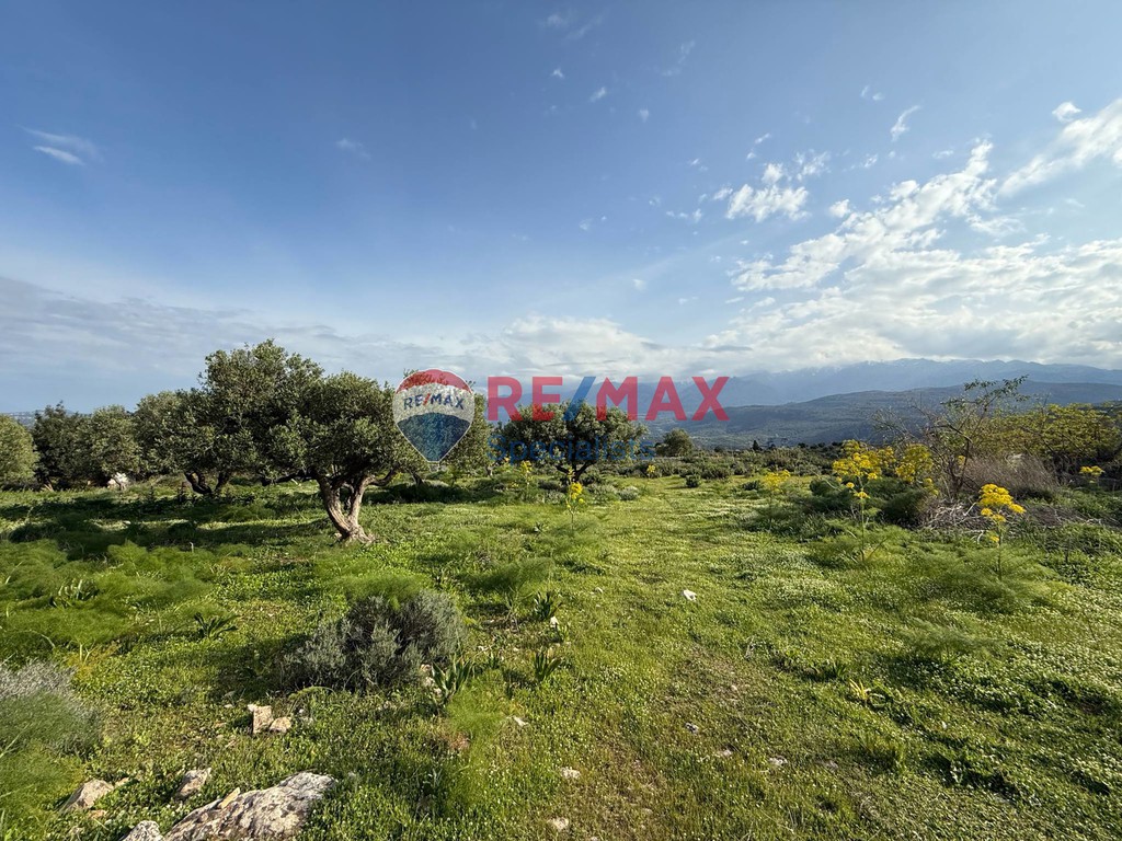 Οικόπεδο 4.612 τ.μ. προς πώληση, Μεγάλα Χωράφια