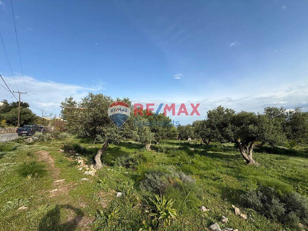 Οικόπεδο 4.612 τ.μ. προς πώληση, Μεγάλα Χωράφια