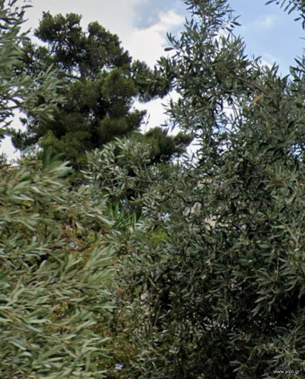 Οικόπεδο 522 τ.μ. προς πώληση, Αργυρούπολη