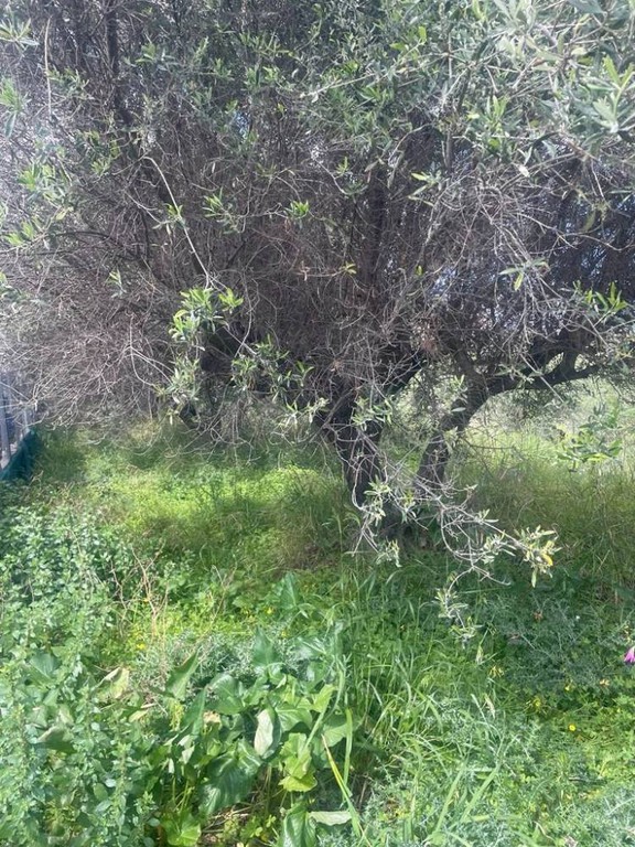 Οικόπεδο 529 τ.μ. προς πώληση, Καλλιθέα Νέας Αλικαρνασσού
