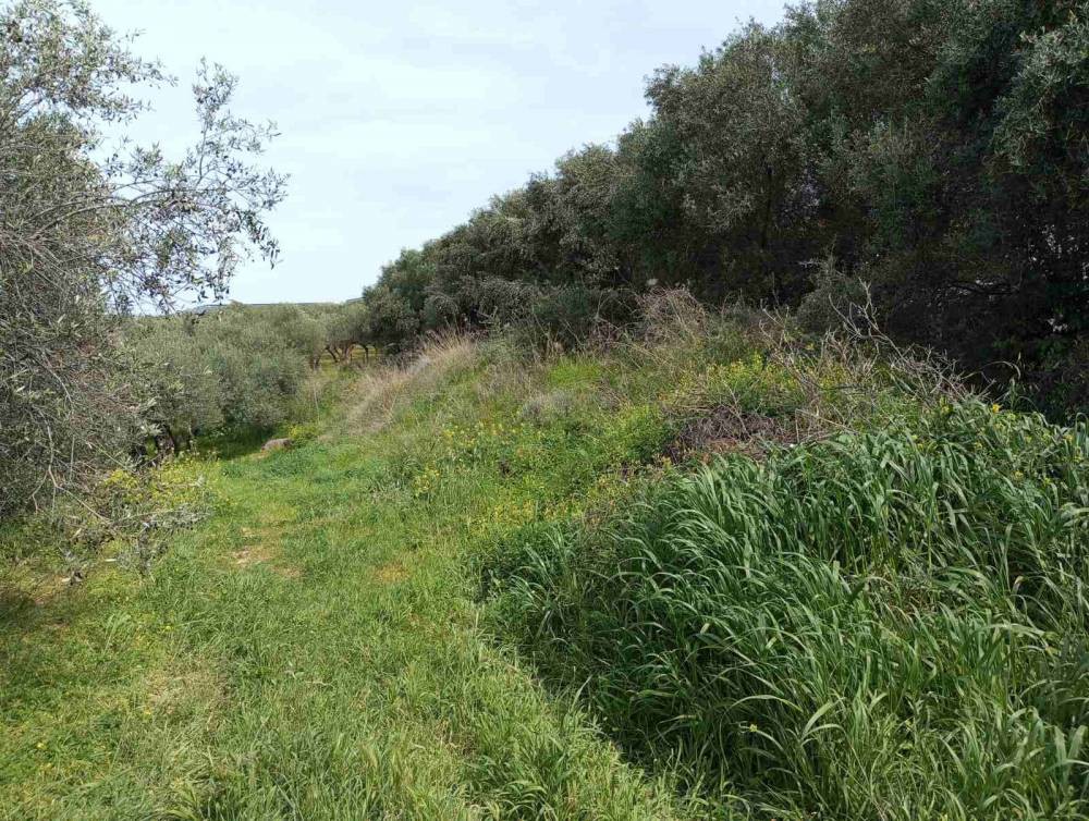 Οικόπεδο 529 τ.μ. προς πώληση, Καλλιθέα Νέας Αλικαρνασσού