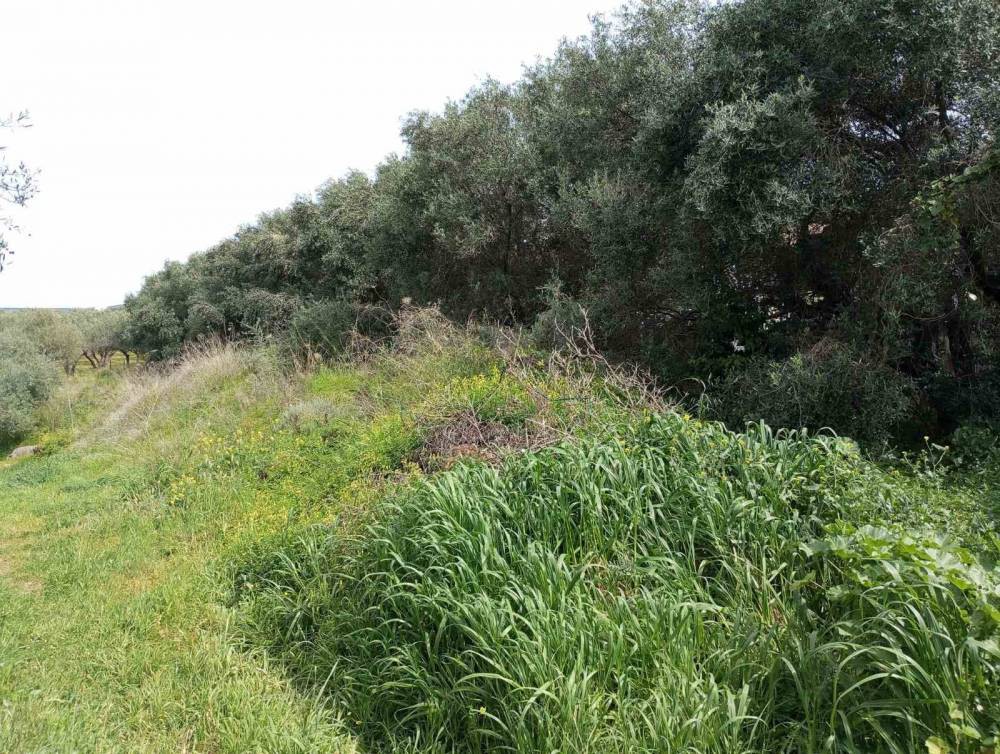 Οικόπεδο 529 τ.μ. προς πώληση, Καλλιθέα Νέας Αλικαρνασσού