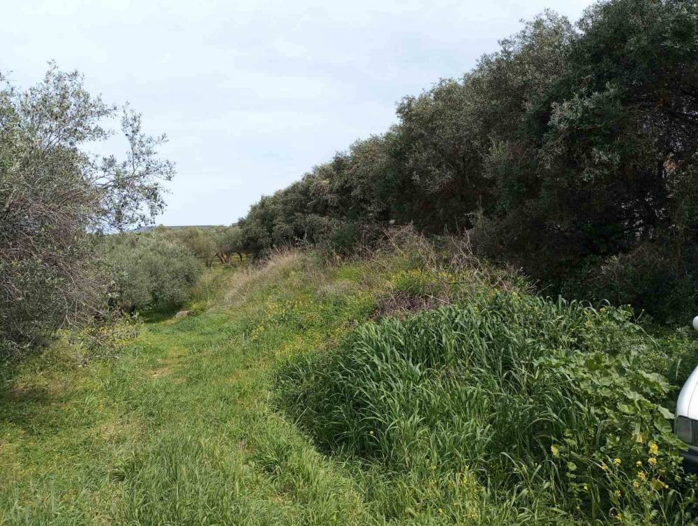 Οικόπεδο 529 τ.μ. προς πώληση, Καλλιθέα Νέας Αλικαρνασσού
