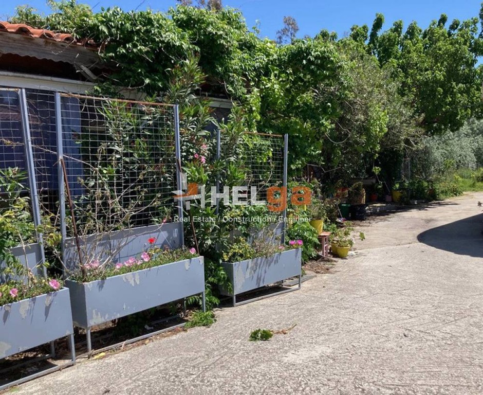 Οικόπεδο 4.500 τ.μ. προς πώληση, Καστελλόκαμπος