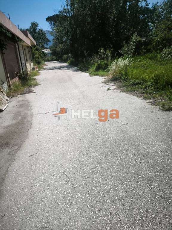 Οικόπεδο 4.500 τ.μ. προς πώληση, Καστελλόκαμπος