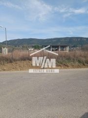 Αγροτεμάχια 6.150 τ.μ. για πώληση