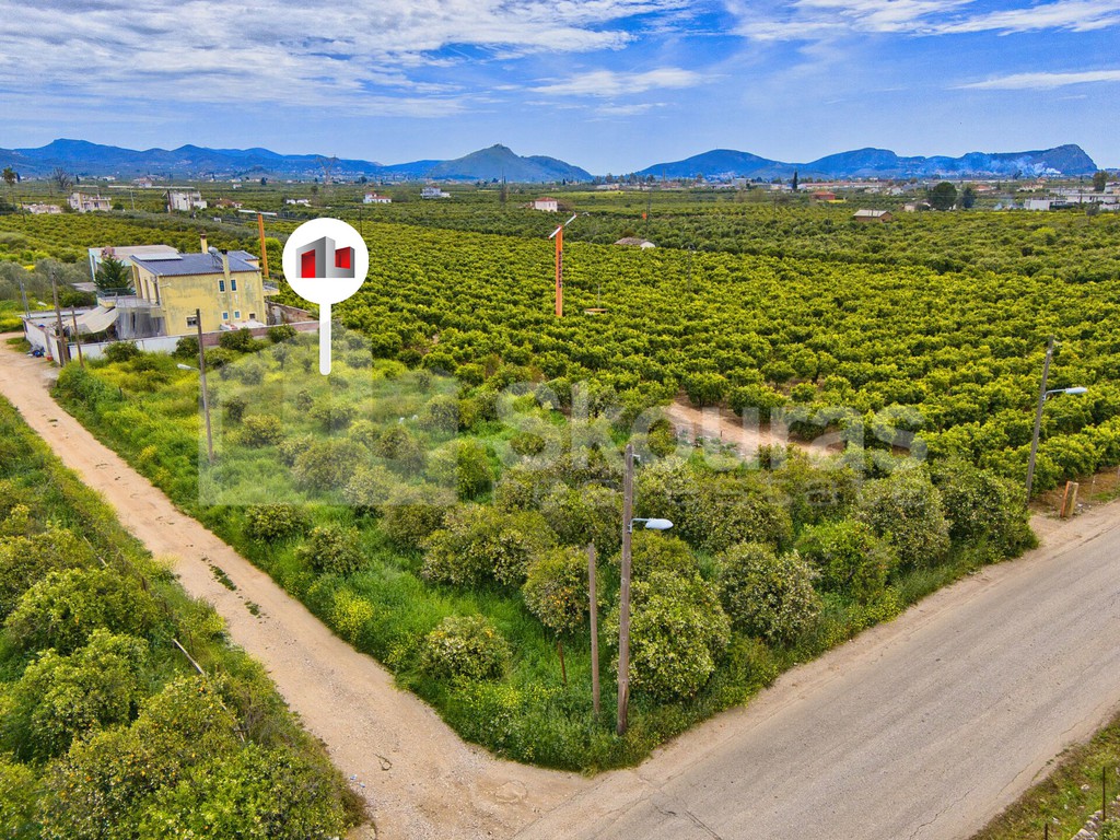 Οικόπεδο 237,96 τ.μ. προς πώληση, Δαλαμανάρα
